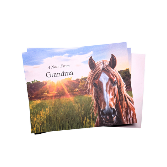 Note Card Horse Pack