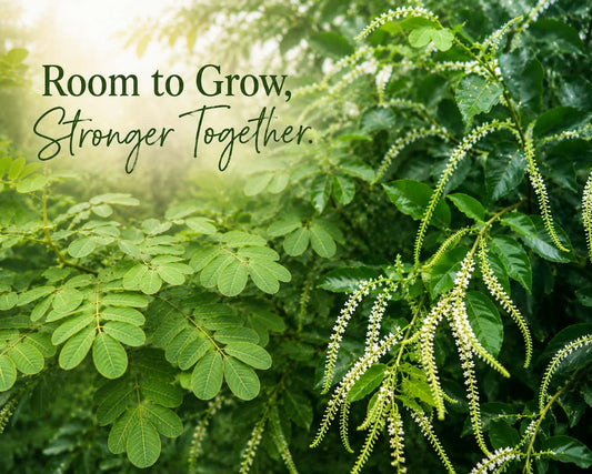 We All Need Room to Grow