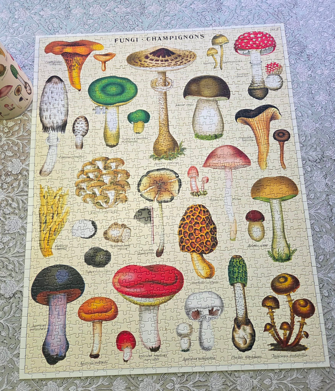 What a Puzzle Taught Me About Patience, Presence, and Persistence