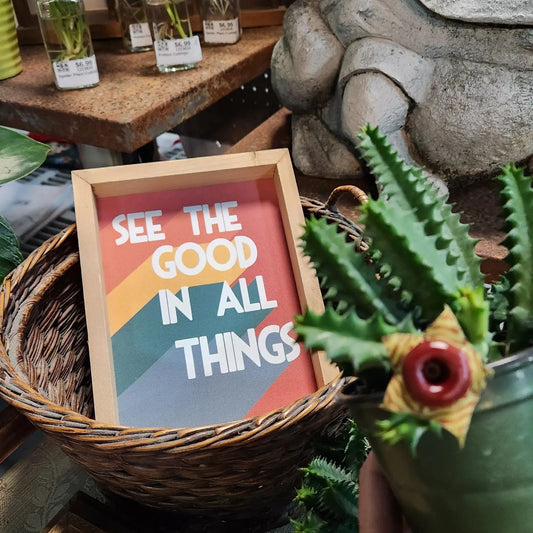 Past the Prickers: Finding Beauty When You Slow Down